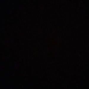 Meet your Posher, Logan